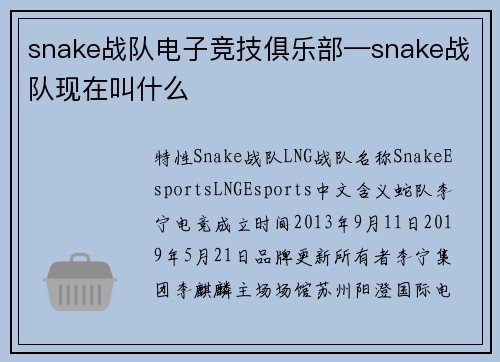 snake战队电子竞技俱乐部—snake战队现在叫什么